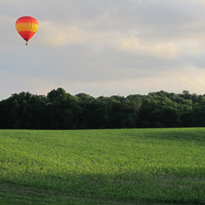 group of hot air balloon in franklin tennessee